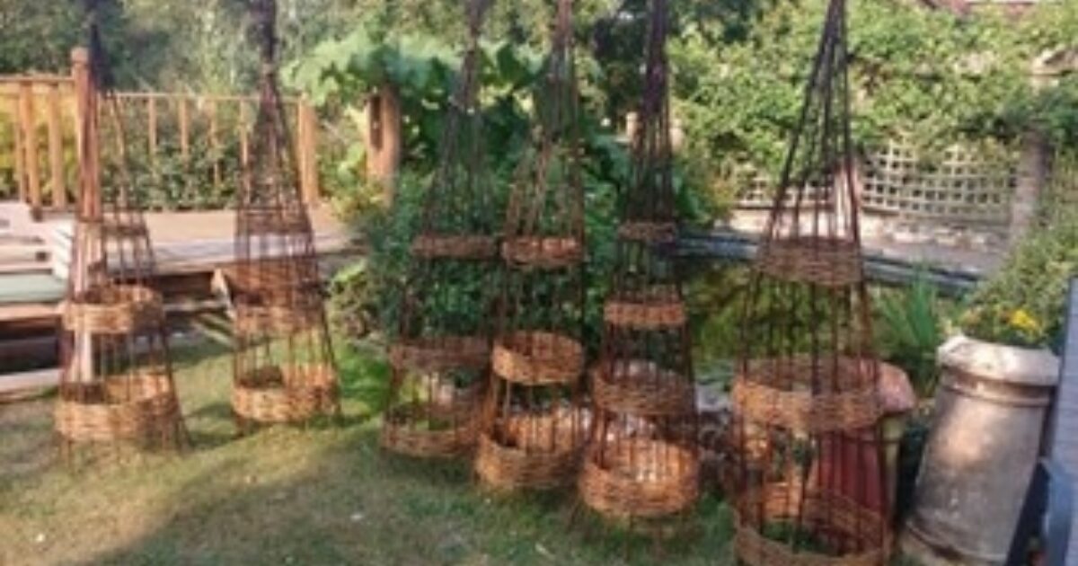 Willow Workshop: Plant supports with Jo Hammond