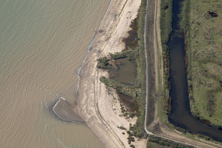 Cudmore Grove drone footage