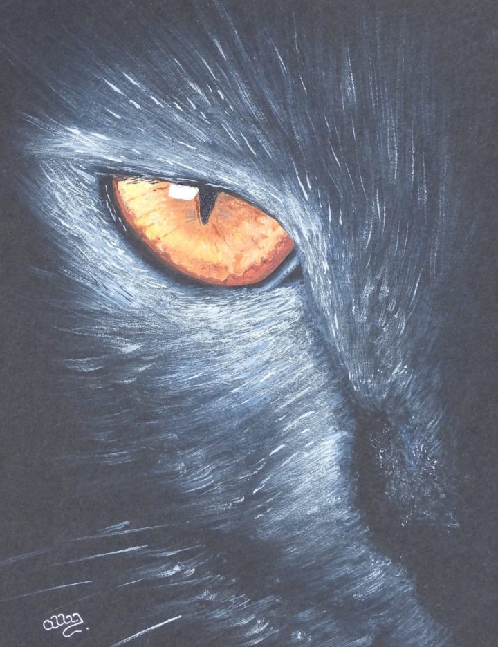 Amber Eye