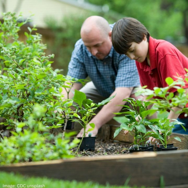 adult and child gardening