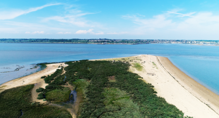 Cudmore Grove Country Park