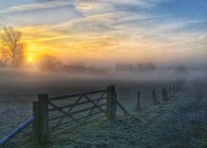 Winters Morning