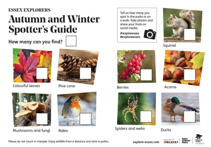 Autumn and Winter Spotter's Guide