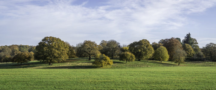 Autumnal landscape at Weald Country Park