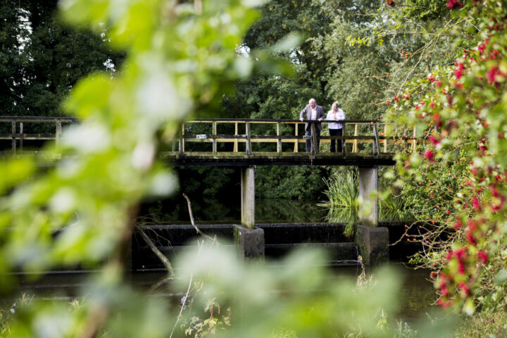 Beeliegh Weir