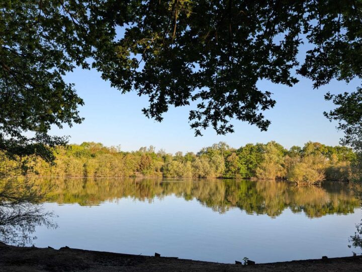 Lake at Belhus Woods by Rob Goodrick