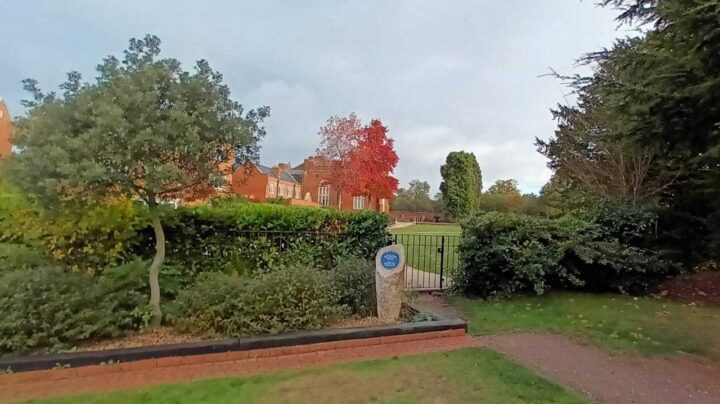 Danbury Palace lawn