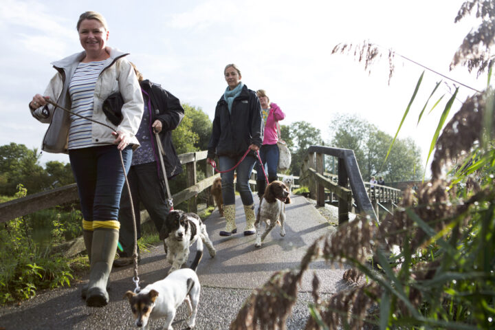Dog Walkers at Beeleigh