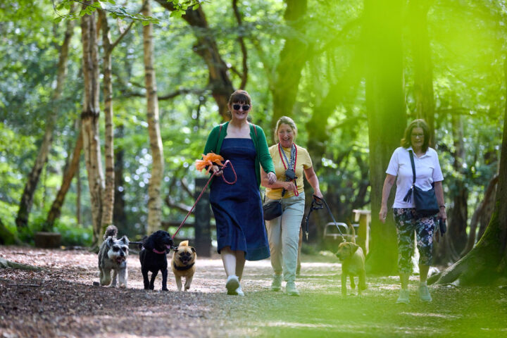Enjoy quiet, traffic free walking trails