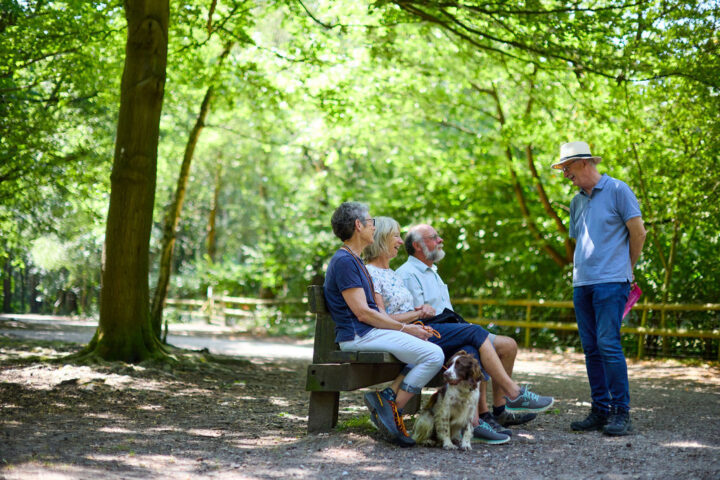 Older people on a bench with a dog and a man in a hat standing in a wood