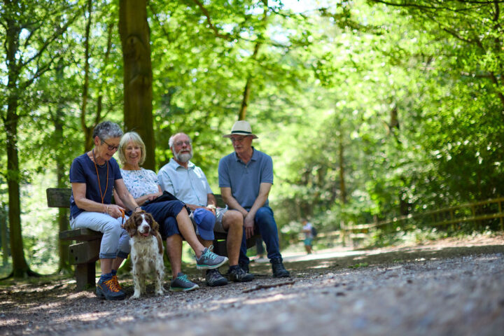 Thorndon has plaenty of shady woodland trails