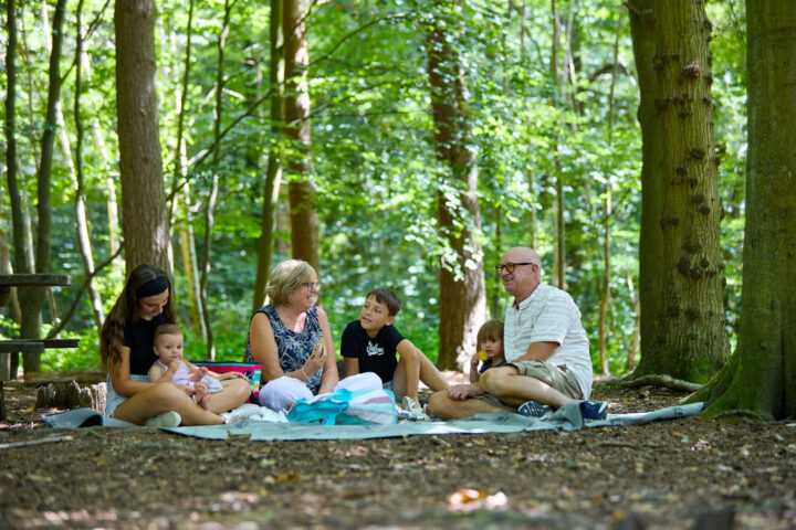 Family having a picnic in the shade