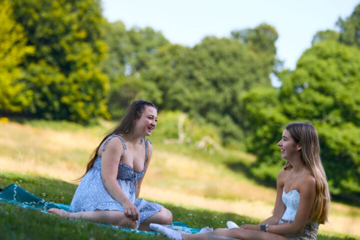 Cool off in the shade at Weald