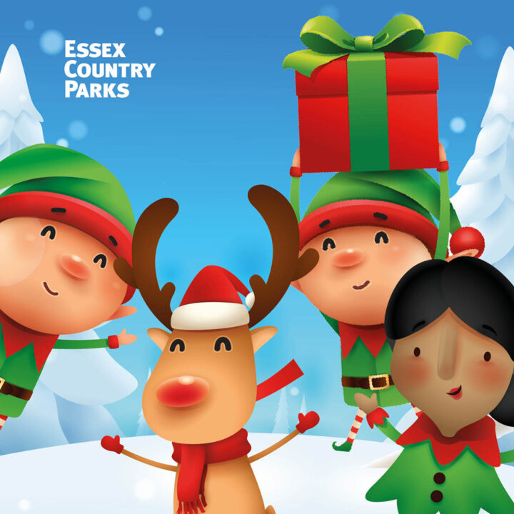 Illustration of three elves (one holding a present) and a reindeer