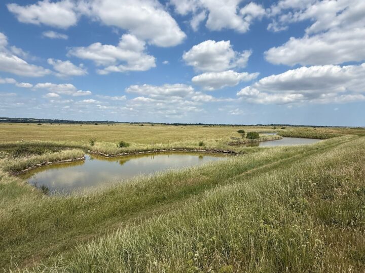 Marsh Farm Summer 2025