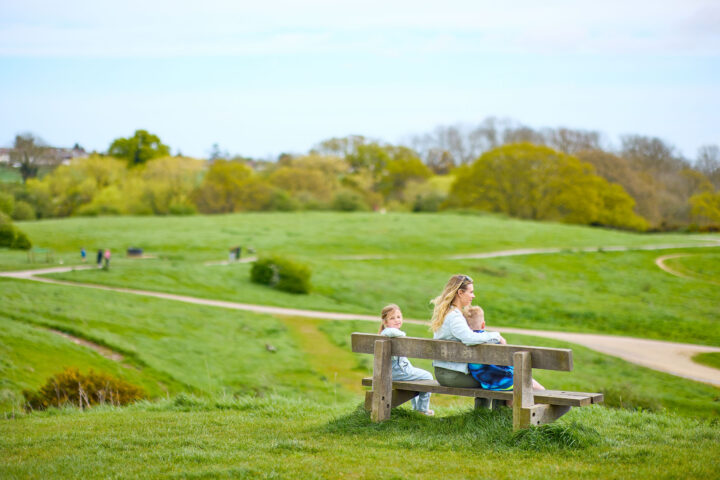 A bench with a view