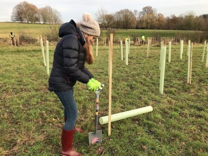 Plant a tree in 2025