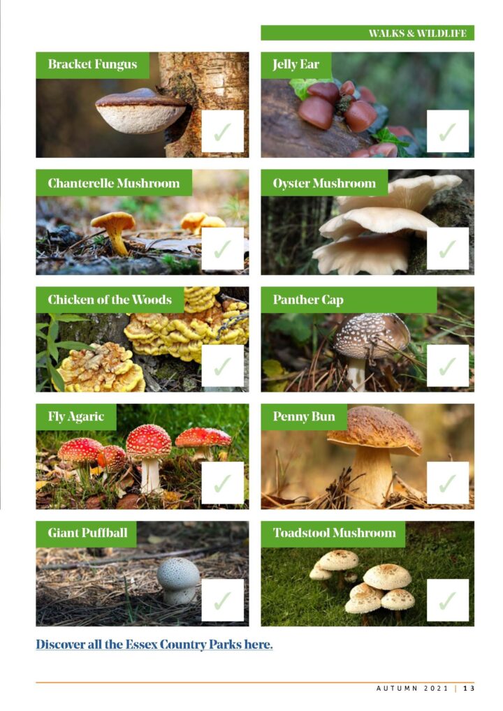 Fungi spotters guide