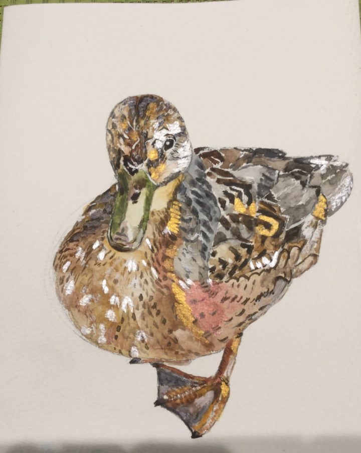 Jeni Drake winning entry