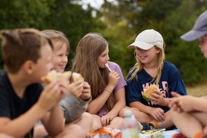 Friends picnic at Great Notley