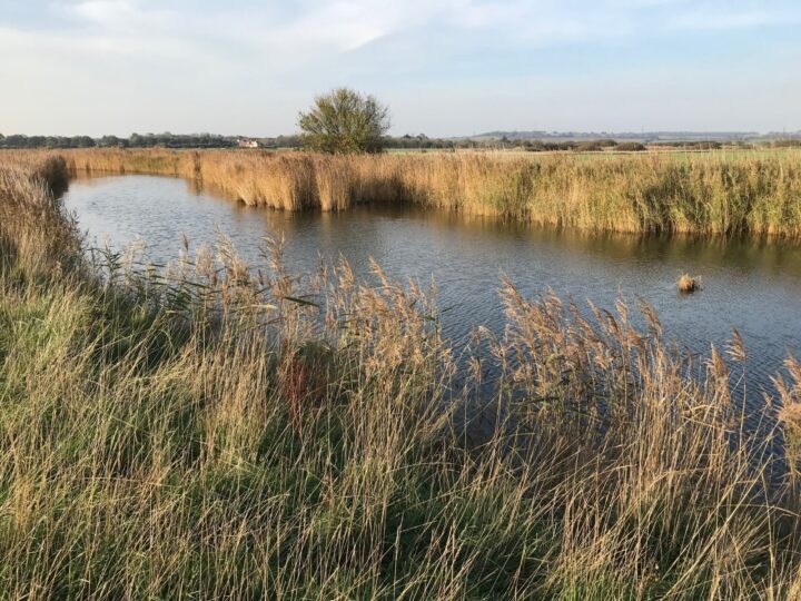 Enjoy riverside views