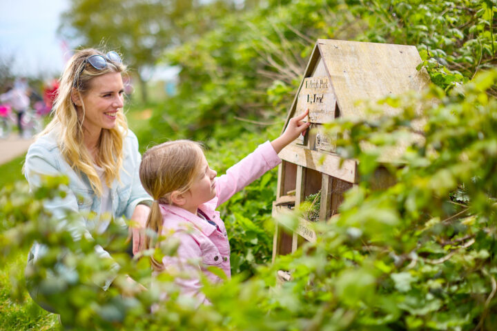 Bug hotel
