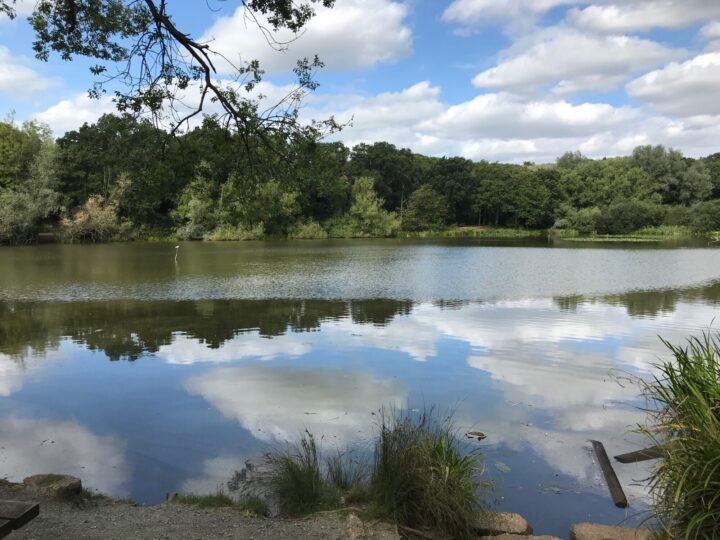 Thorndon Country Park (South)