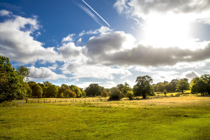 Visit an Essex Country Park
