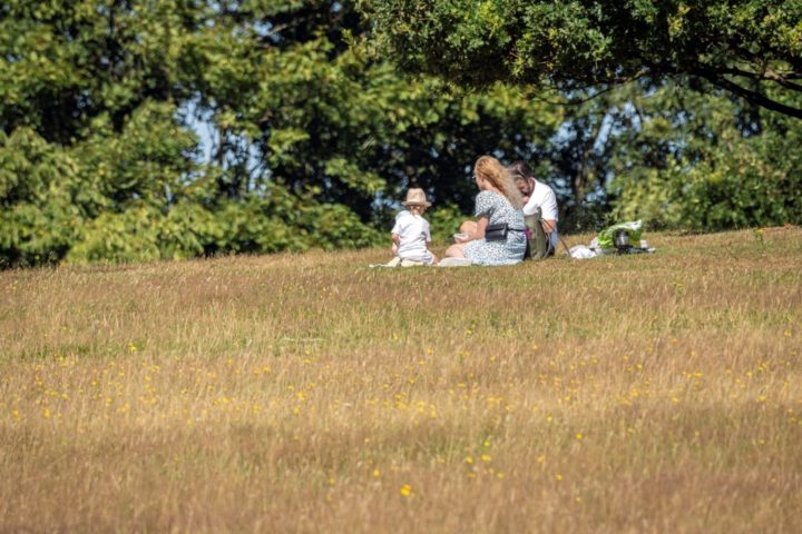 Picnic at Weald