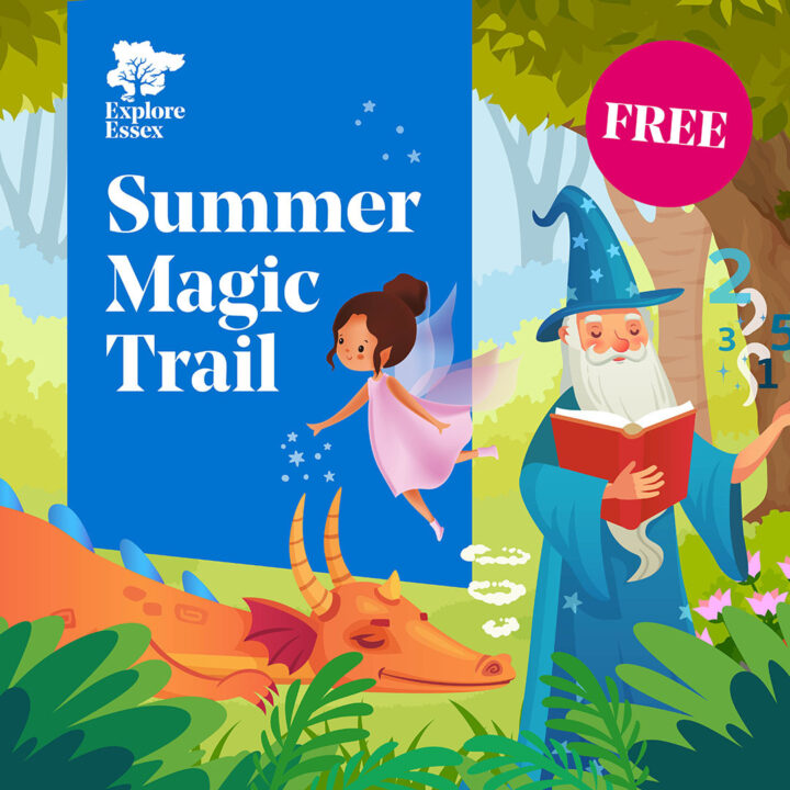 Summer Magic Trial