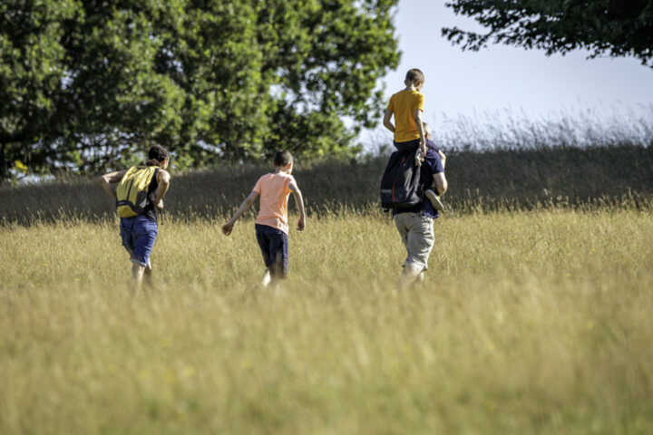 Family walking through long grass