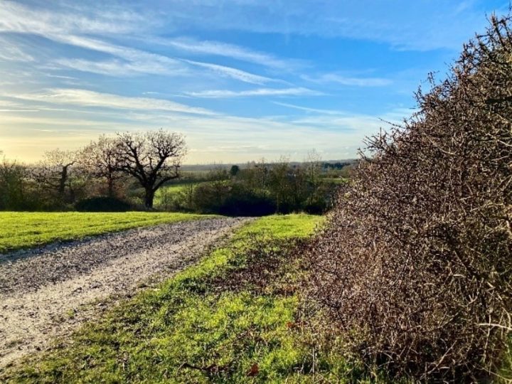 Thorndon Country Park