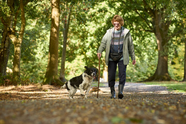 Enjoy picturesque woodland trails