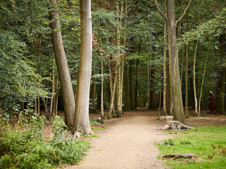 The parks offer traffic free cycle routes