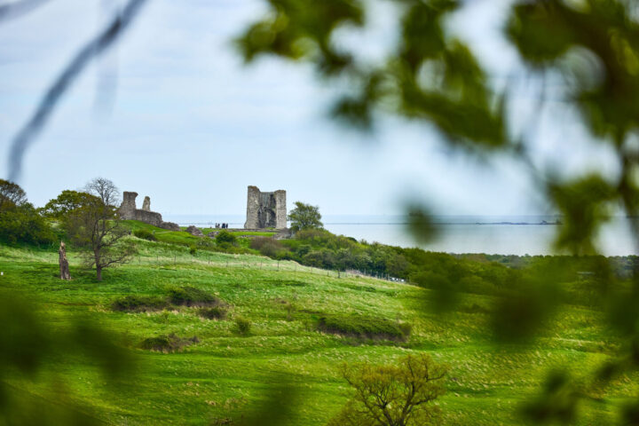 Hadleigh castle
