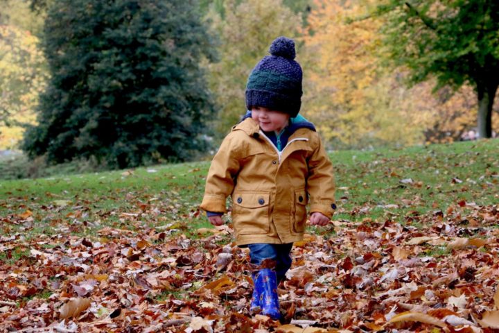 Autumnal leaves