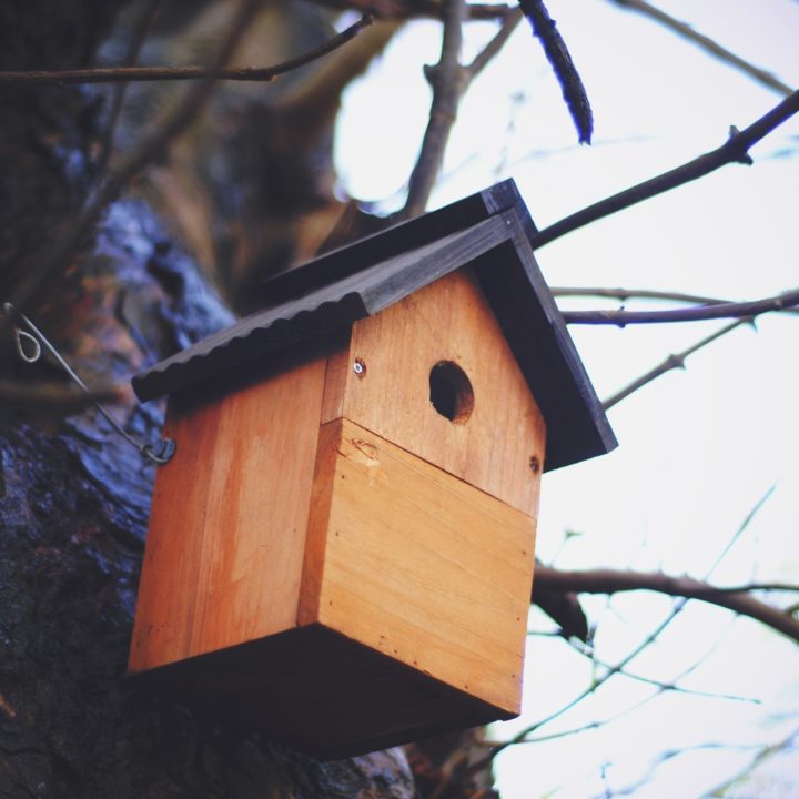 Nesting Box