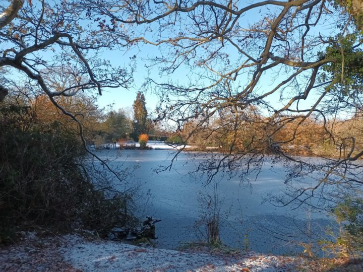 Danbury Country Park