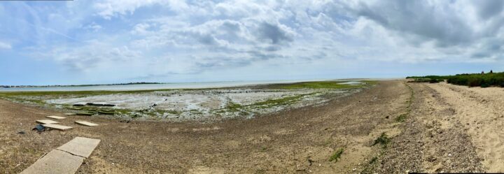 Looking out to the mud flats and round to the shingle at Cudmore Grove