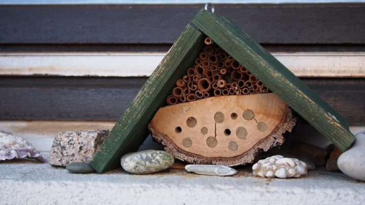 Bee hotel