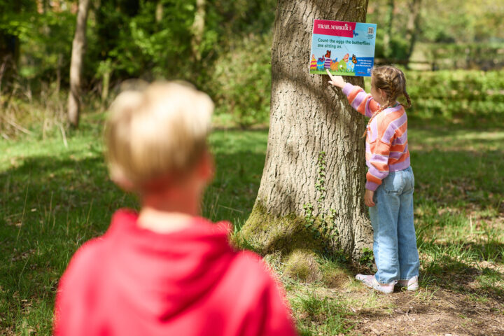 Girl reading trail marker in woodland