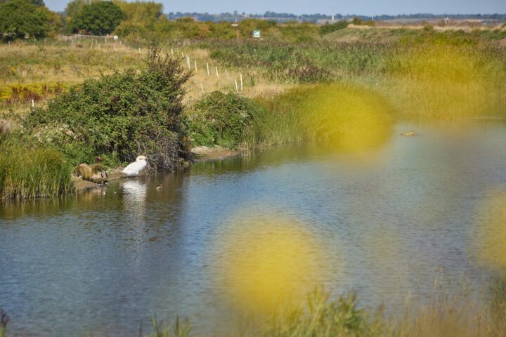 From beaches to waterway walks