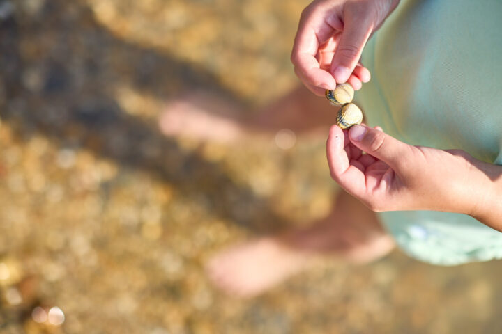 Girl holding shells