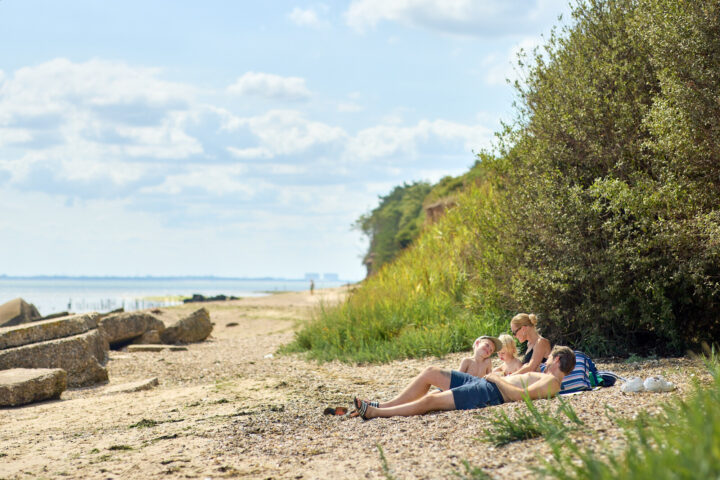 Family on beach