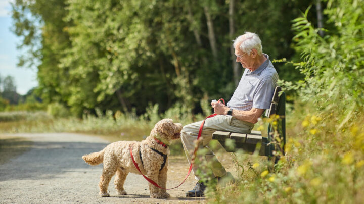 Man and his dog on a bench in a park