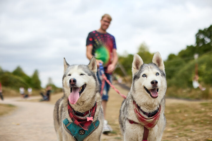Great Notley also offers lakeside and grassland walking routes