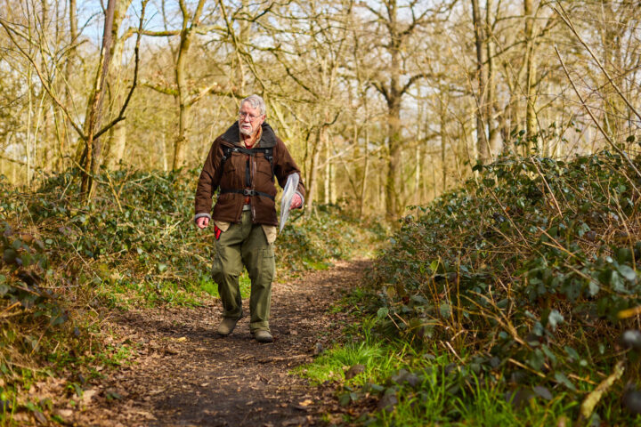 Take a trip to Belhus Woods