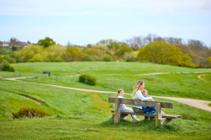 large tree and green grassy landscape at Hadleigh
