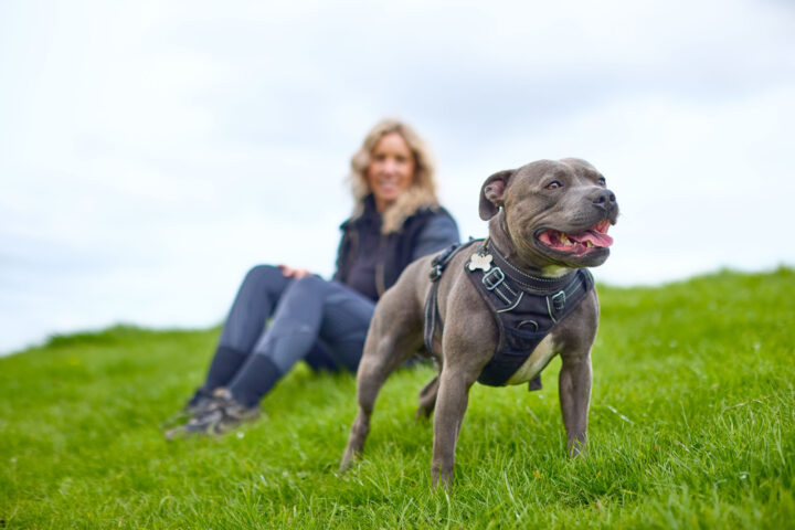 Enjoy spectacular views at Hadleigh