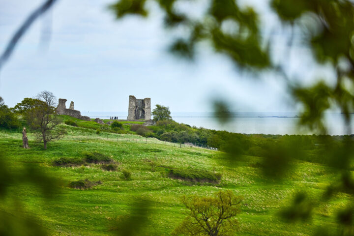 Weald Country Park